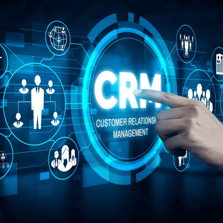 CRM & Database Management