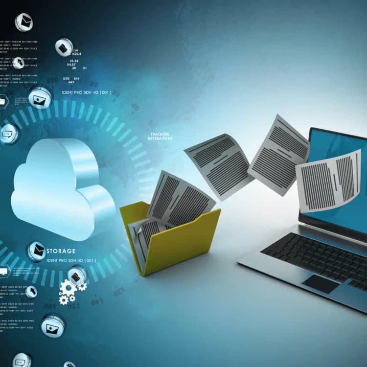 Data Entry & Processing